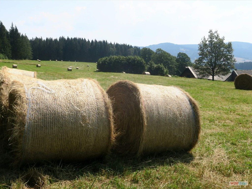 Blick vom Oberdorf nach Schlesien