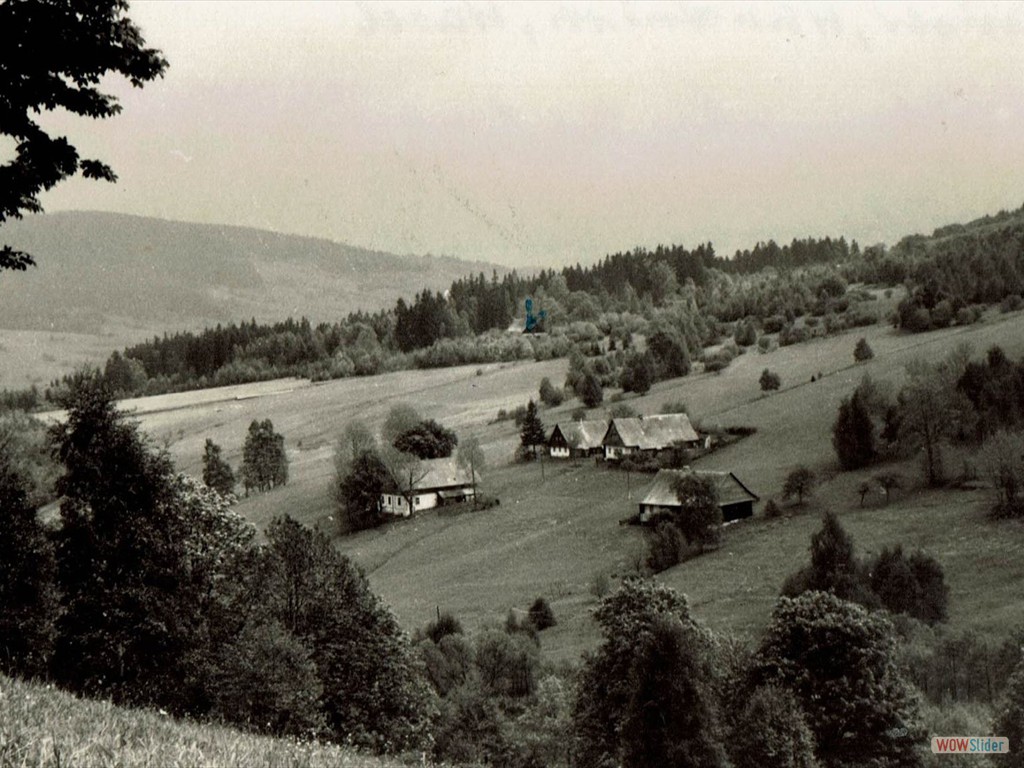 Mitteldorf in BärnwaldHauser-Wasel-Wanschura